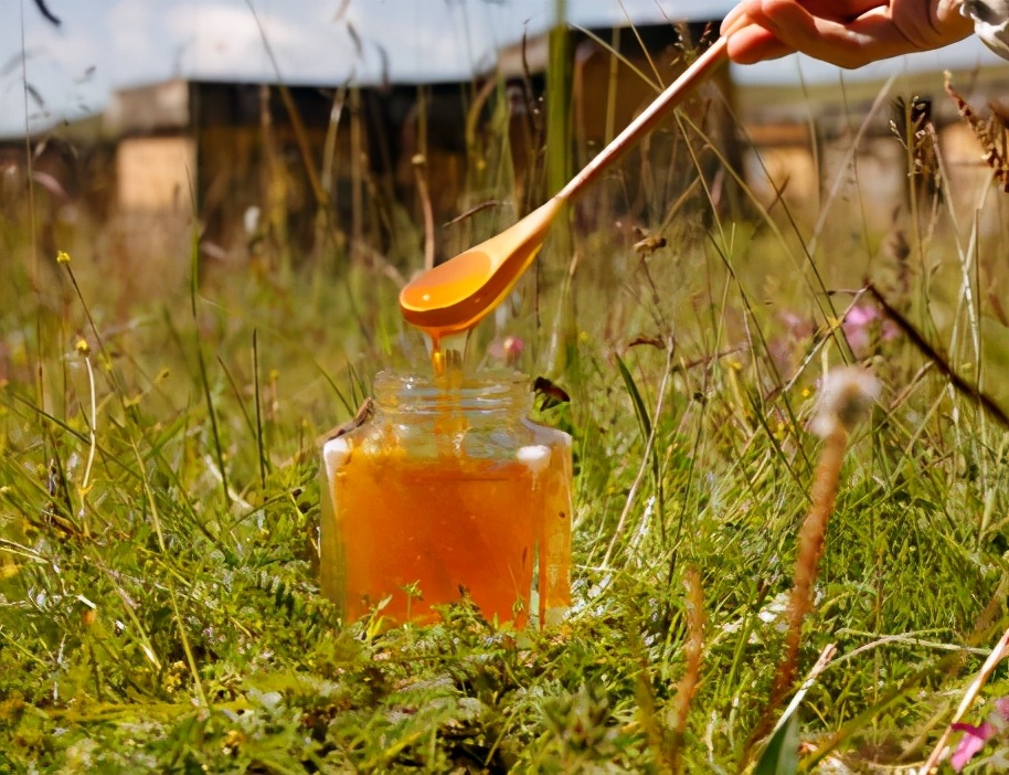 蜂蜜一天喝多少合適(蜂蜜每天喝多少最適合對(duì)身體好) 蜂蜜一天喝多少合適(蜂蜜每天喝多少最適合對(duì)身體好)