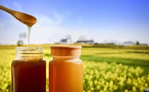 市面上的蜂蜜和成熟蜜的區(qū)別（市面上的蜂蜜多為“水蜜”，其營(yíng)養(yǎng)比成熟蜜差多少）