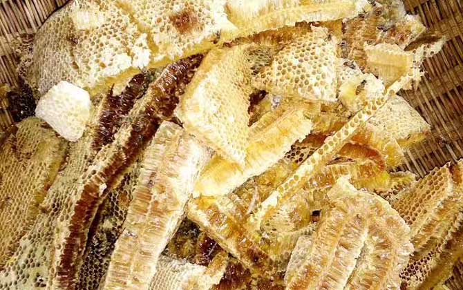 養蜂人怎么打造蜂蜜品牌(怎么做好品牌) 養蜂人怎么打造蜂蜜品牌(怎么做好品牌)