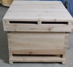 一個(gè)人養(yǎng)500箱蜜蜂可行嗎(一個(gè)人最多能養(yǎng)多少箱蜜蜂) 一個(gè)人養(yǎng)500箱蜜蜂可行嗎(一個(gè)人最多能養(yǎng)多少箱蜜蜂)