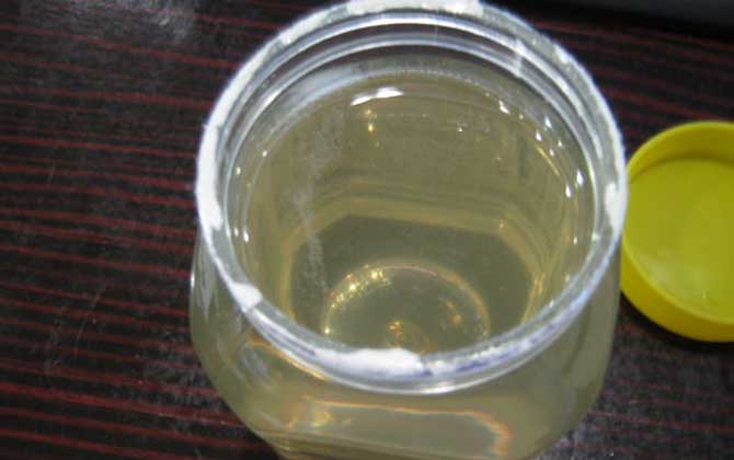 紫云英蜂蜜和洋槐蜂蜜哪個(gè)好（紫云英蜂蜜和洋槐蜂蜜的對(duì)比）