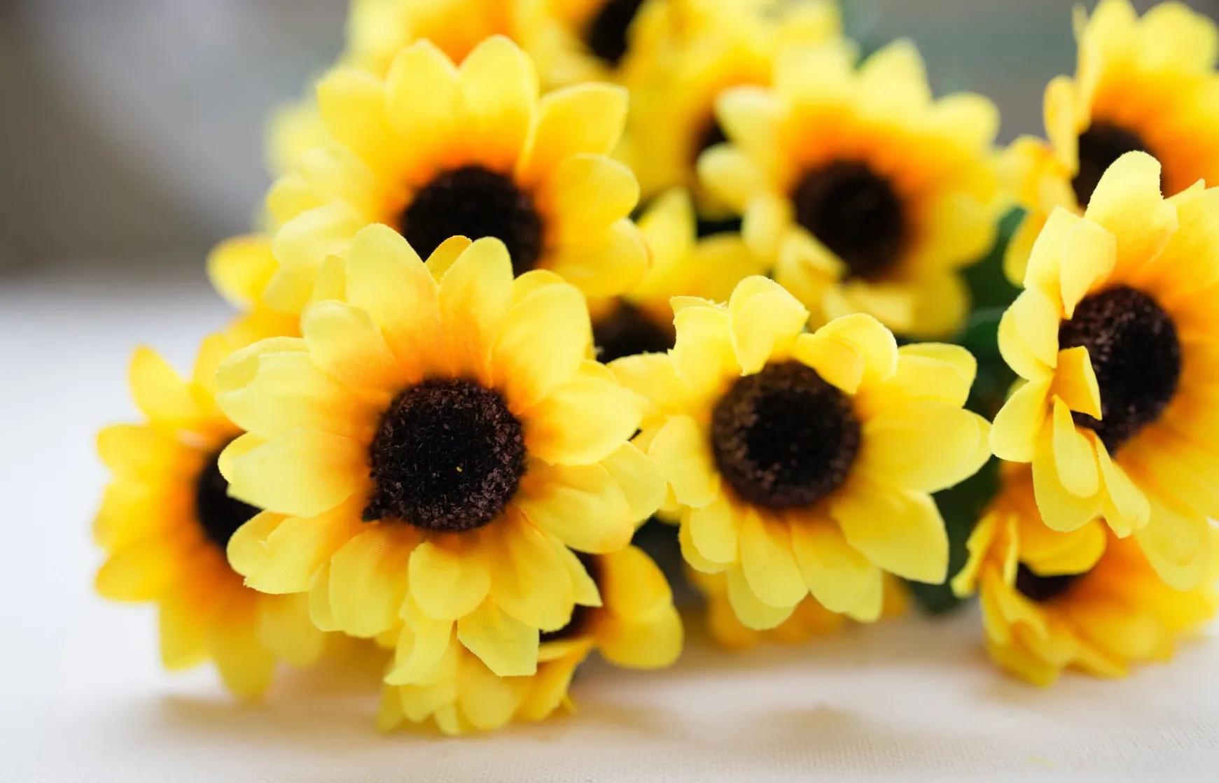 菊花的花語和象征寓意 菊花的花語和象征寓意