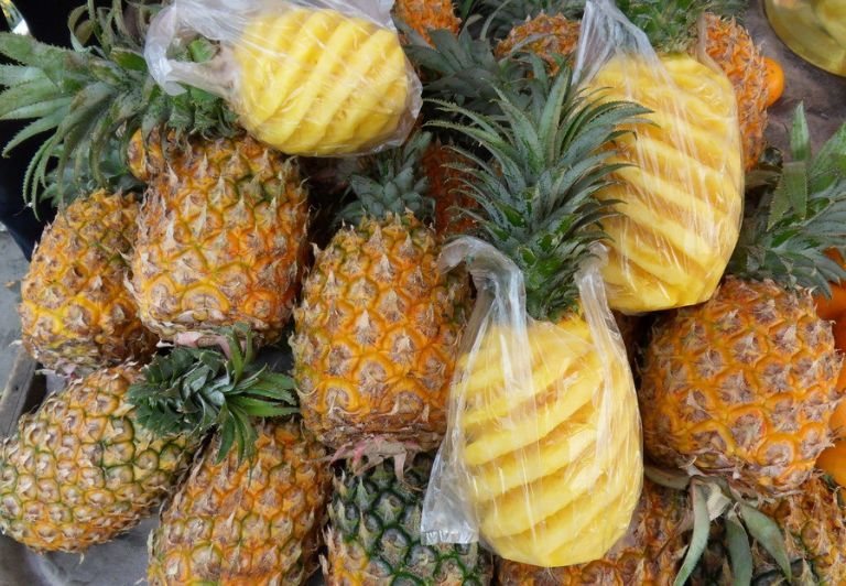 菠蘿是怎么生長的(菠蘿的生長過程) 菠蘿是怎么生長的(菠蘿的生長過程)