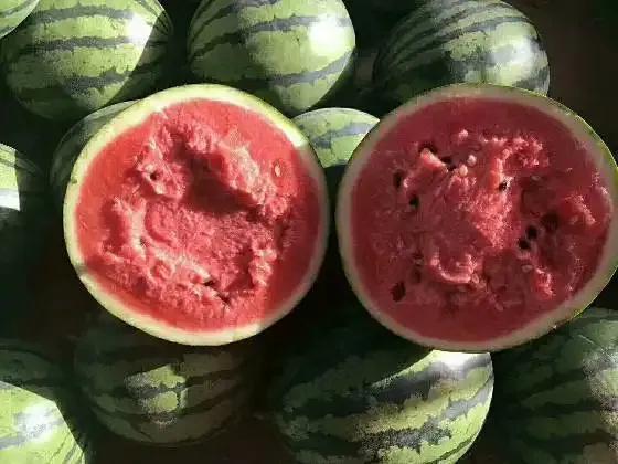 西瓜產地哪里最好(中國10大優質西瓜產地) 西瓜產地哪里最好(中國10大優質西瓜產地)