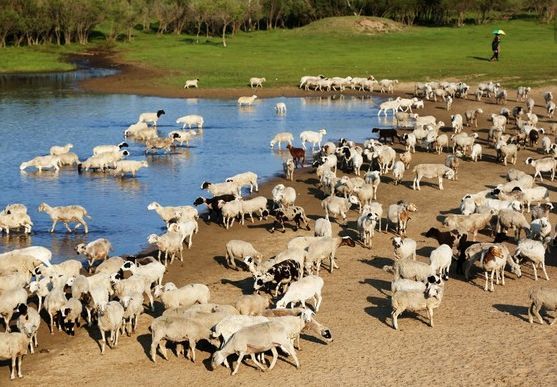 藏在農(nóng)村的小生意有哪些(10個(gè)適合農(nóng)村的小生意) 藏在農(nóng)村的小生意有哪些(10個(gè)適合農(nóng)村的小生意)