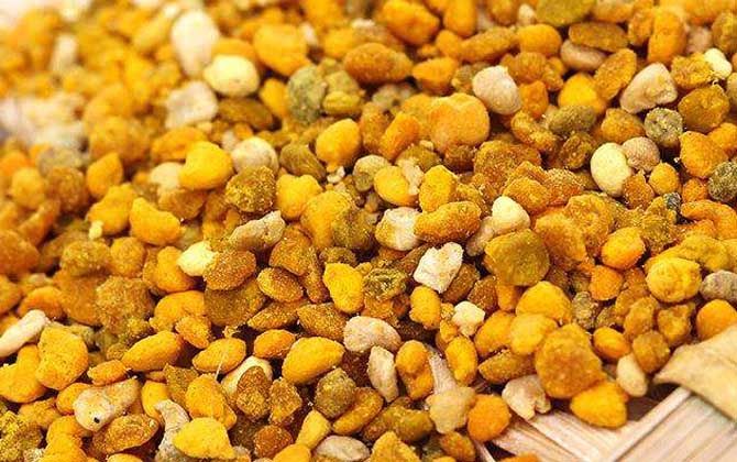 最新蜂花粉價格多少錢一斤？