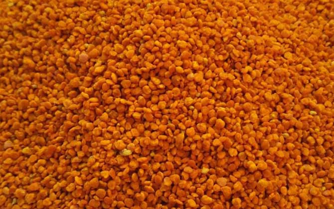 茶花粉和菜花粉哪個好？