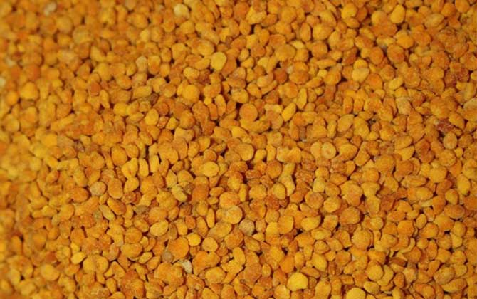 茶花粉適合什么人吃？