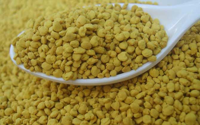 油菜花粉對性功能有好處嗎？