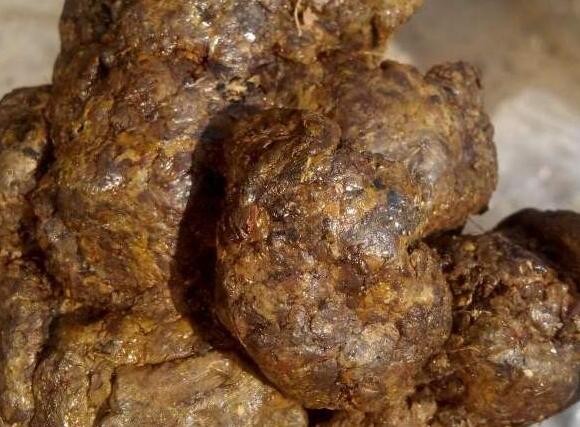 蜂膠對(duì)男性的效果好嗎?男的能吃蜂膠膠囊嗎?