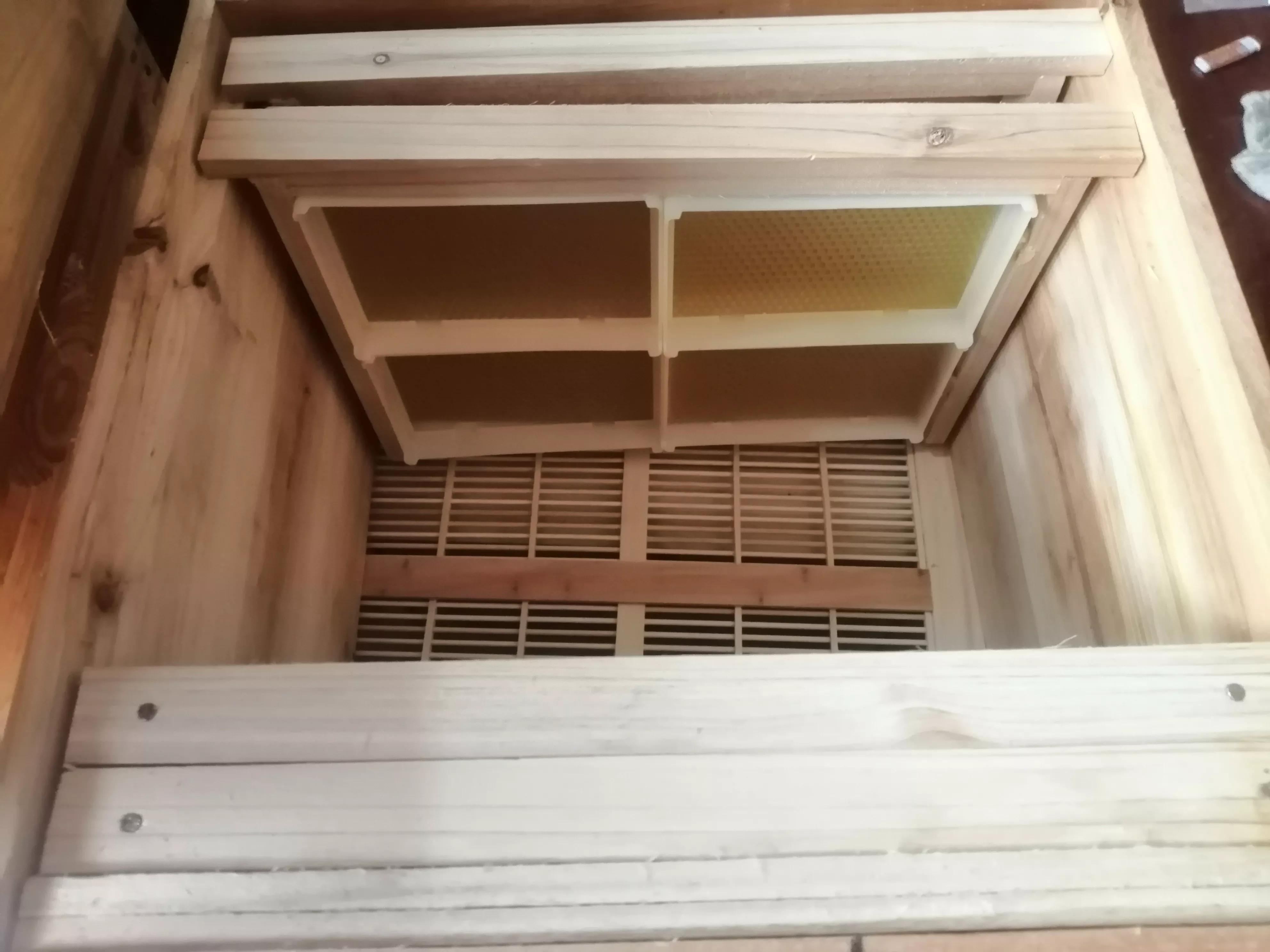 剛收回來的巢窩蜜蜂，如何防止仔脾出房后產(chǎn)生飛逃