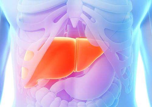 小三陽(yáng)吃蜂王漿有用嗎?