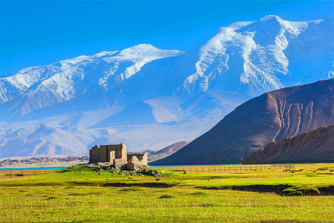 帕米爾高原的香鼬為何散發(fā)一種香氣？